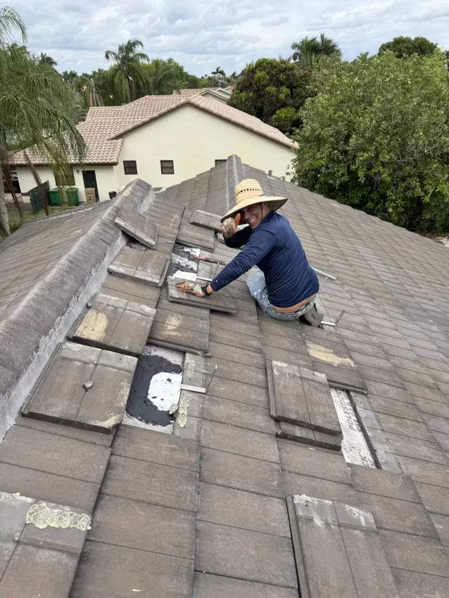 Solar Panel Installation Company in Florida